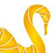Profile for Swan Digital Ltd