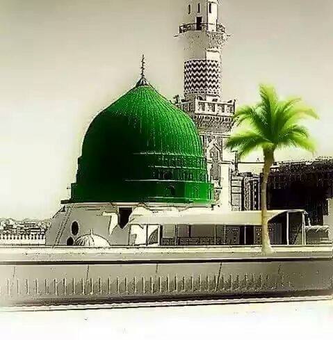 Sunnat-e-Rasool ﷺ