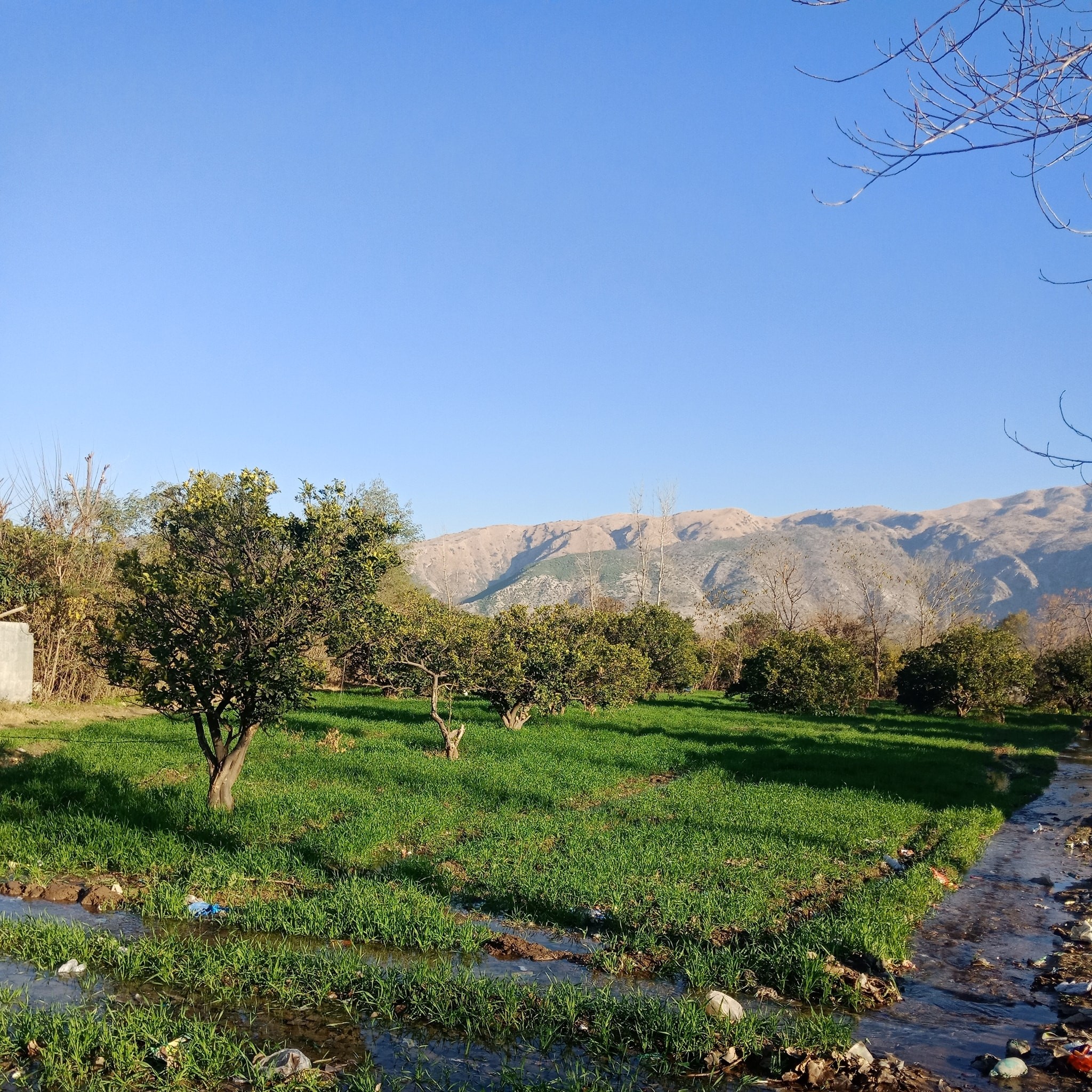 Ghari Syedain, Khyber Pakhtunkhaw, Pakistan | Haripur