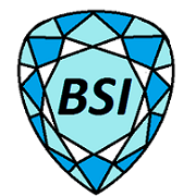 BSIT | Pune