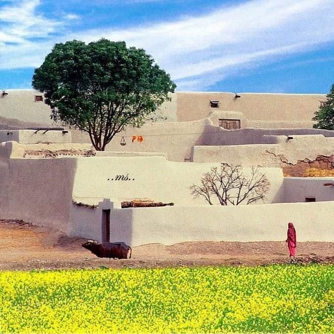 Our Vanike Tarar