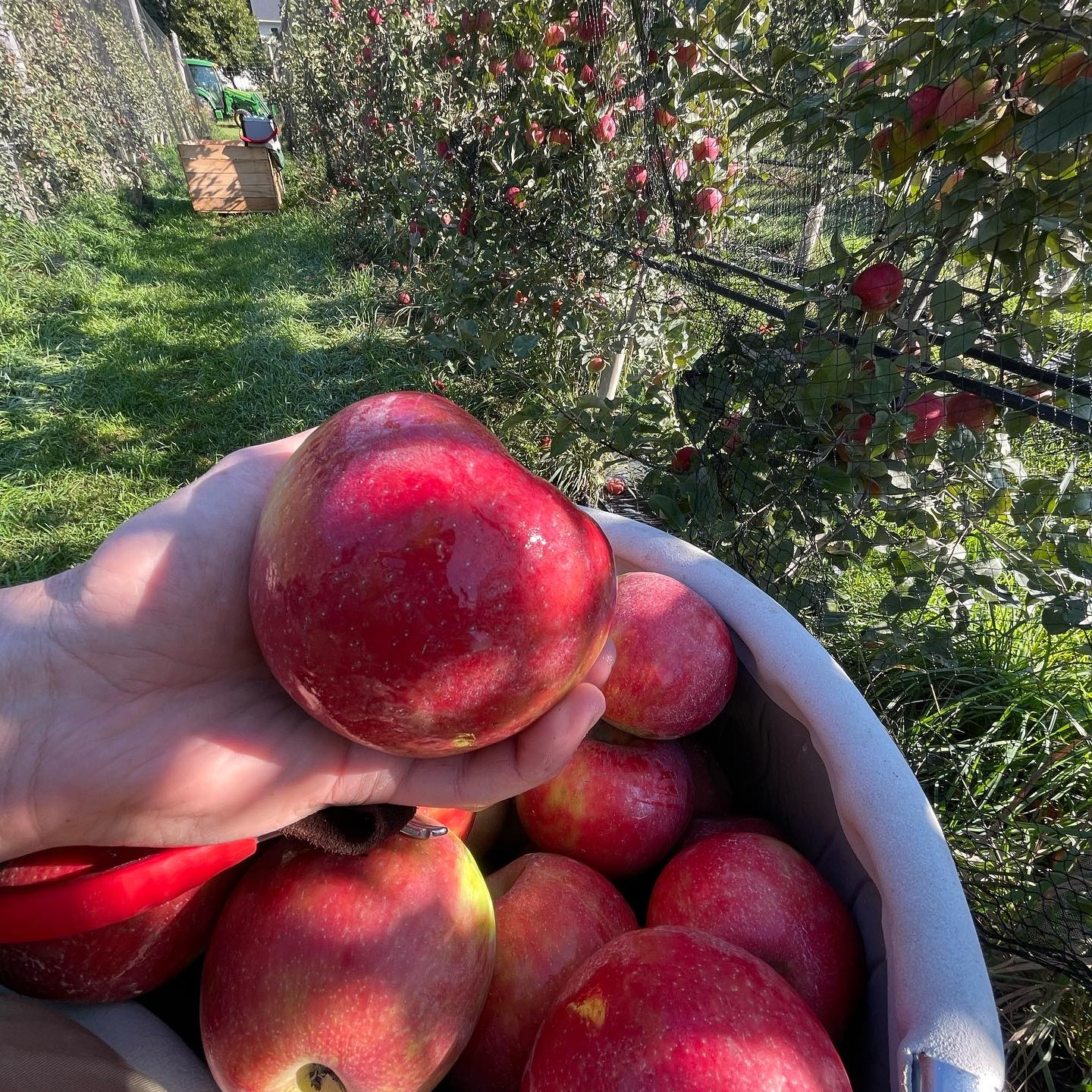 Hidden River Farms, Saugatuck MI | Saugatuck MI