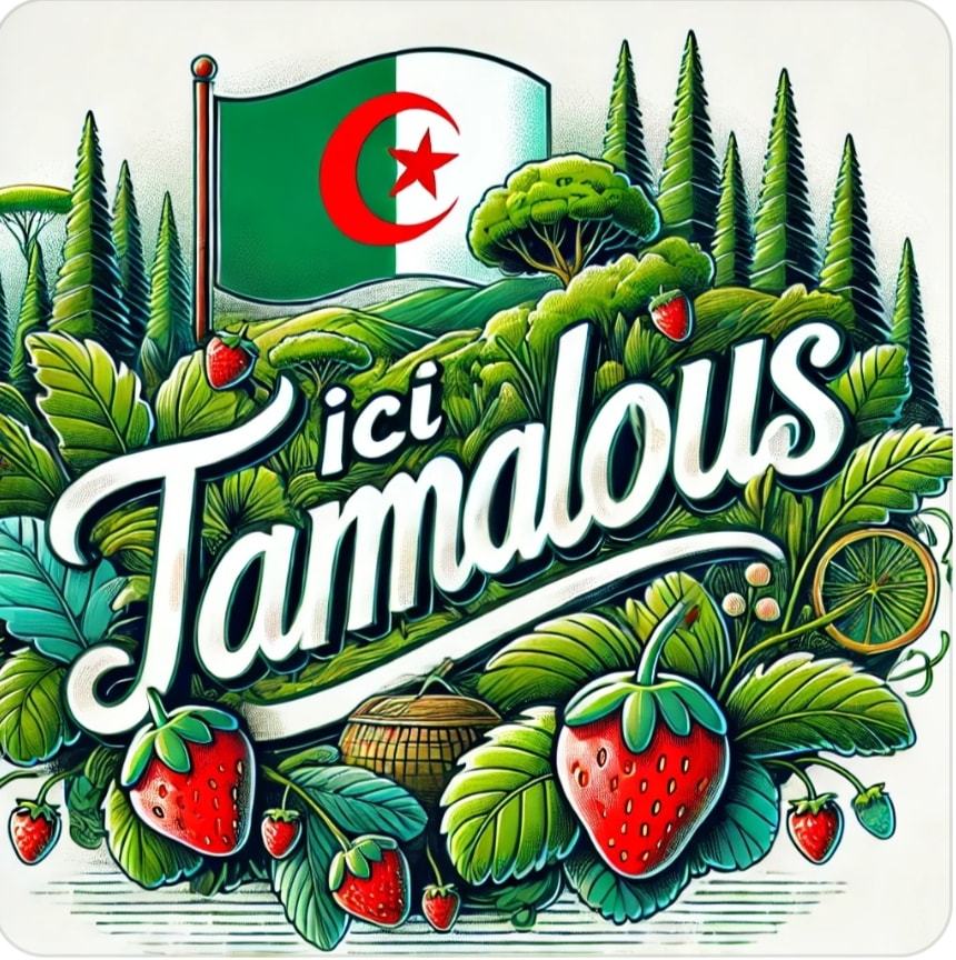 نادي طا لب السواحلية