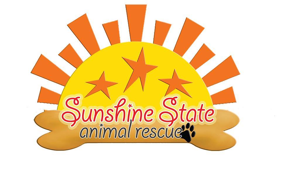 Sunshine State Animal Rescue - AMAZING adoption!!!! Congrats to ...