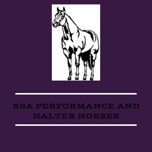 RSA Performance & Halter Horses