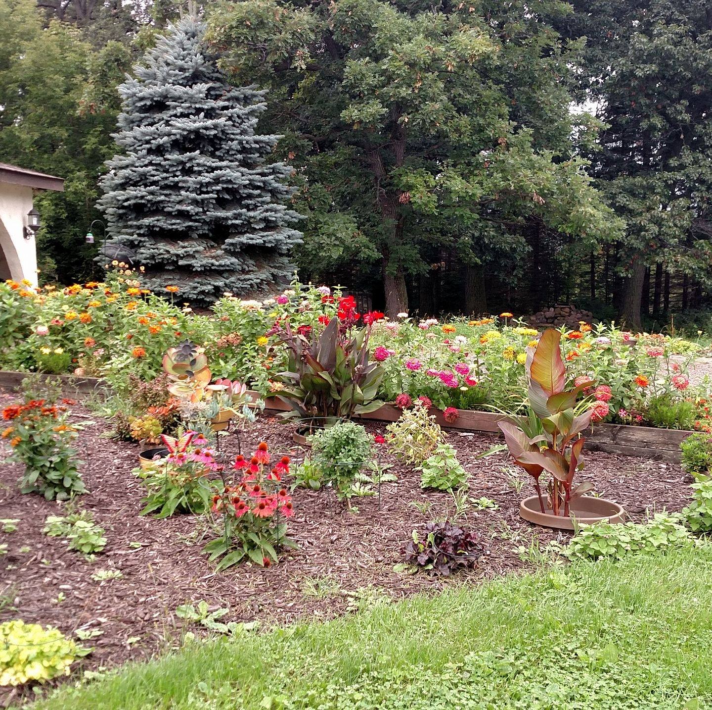 Lily Pond Farm | Forest Lake MN