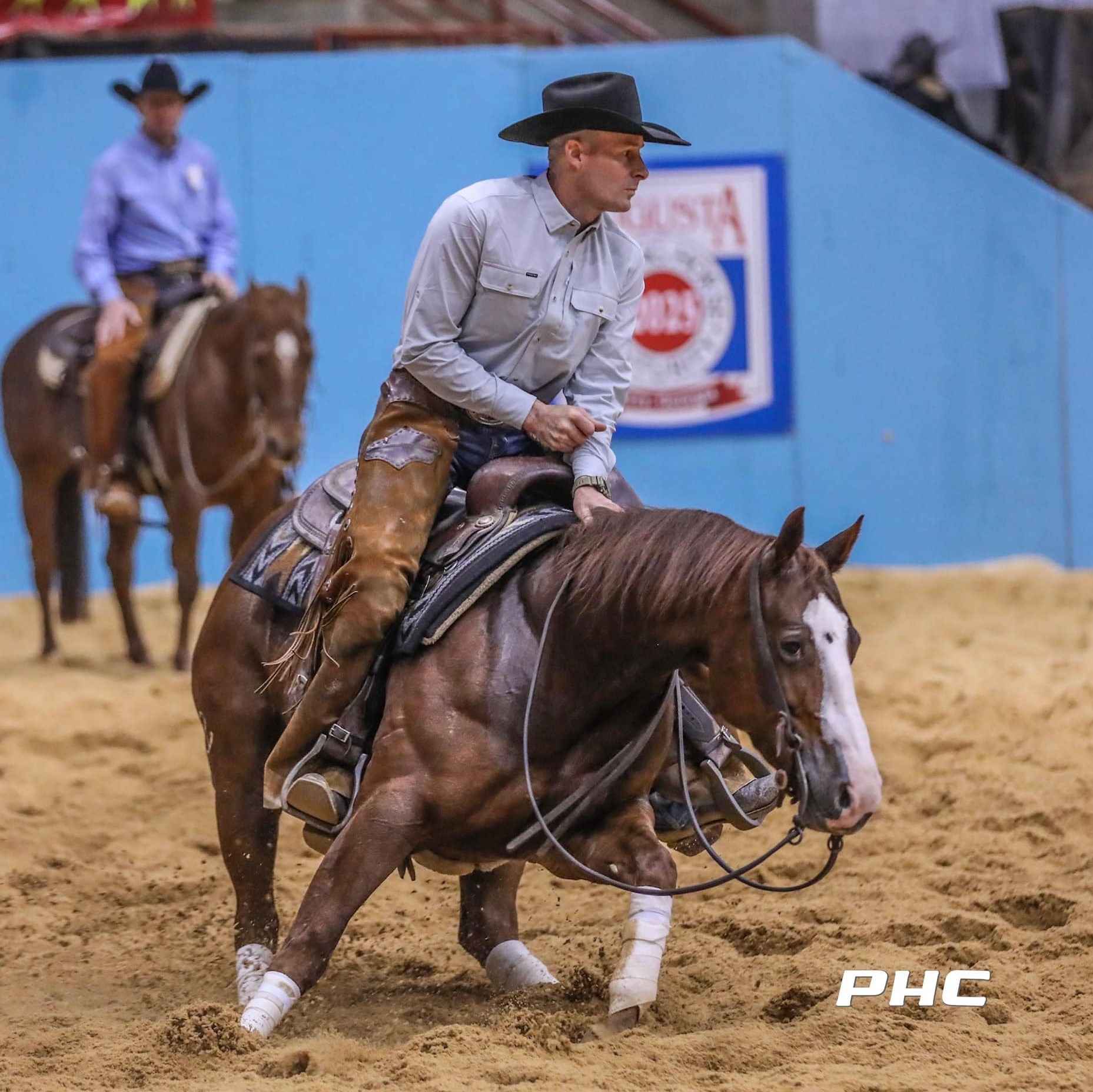 The Foundation Quarter Horse Association