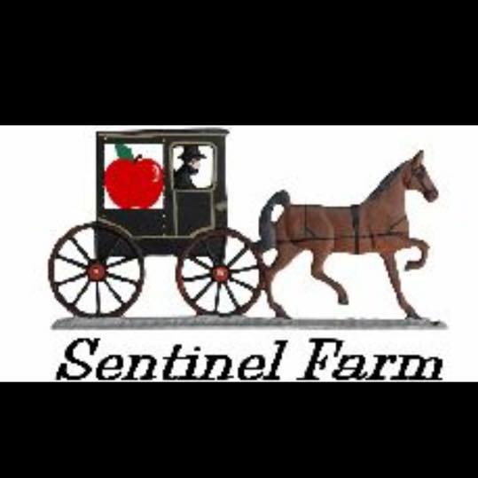 Sentinel Farm | Belchertown MA