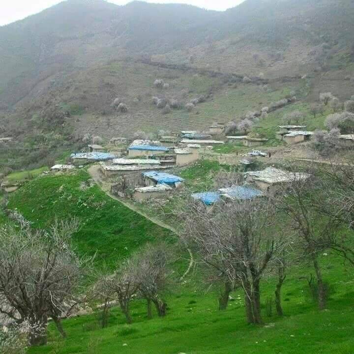 گوندی به رگود
