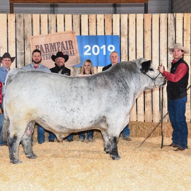 Ontario Speckle Park Breeders and Friends | Facebook