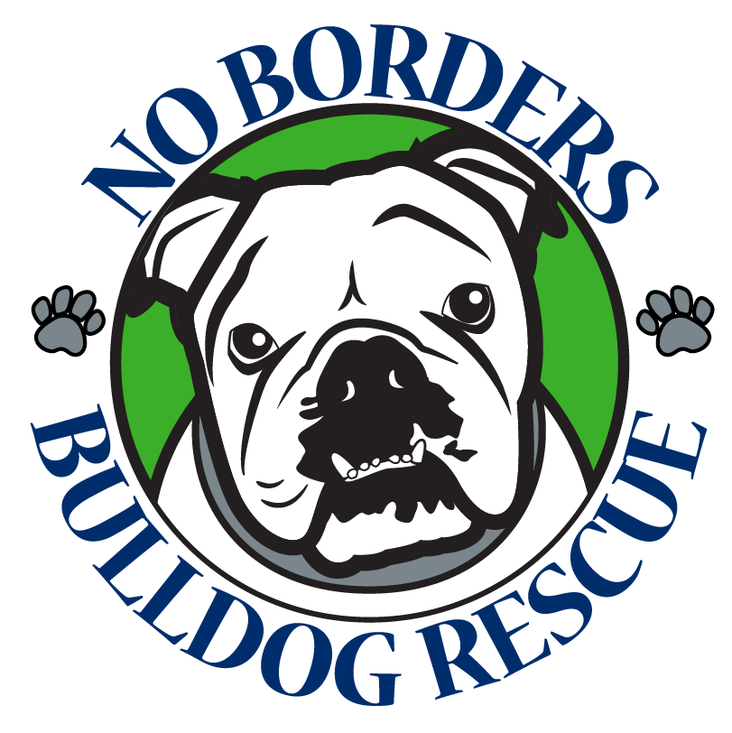 No Borders Bulldog Rescue