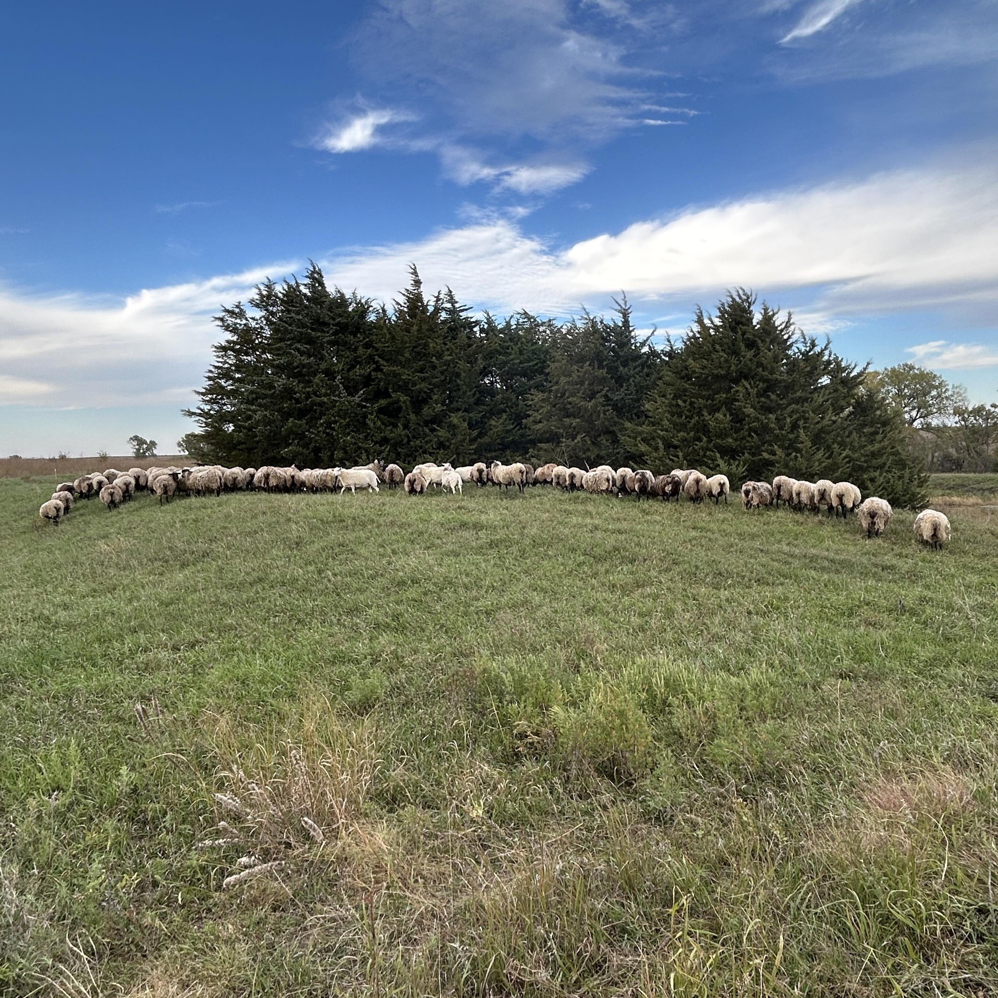 Rock Hill Ranch