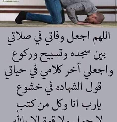 وقل ربي زدني علما