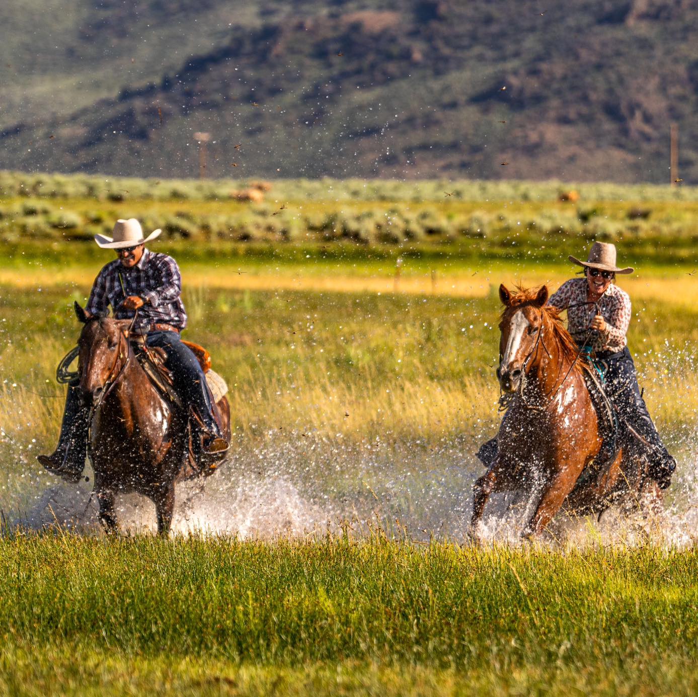 Hunewill Ranch | Bridgeport CA