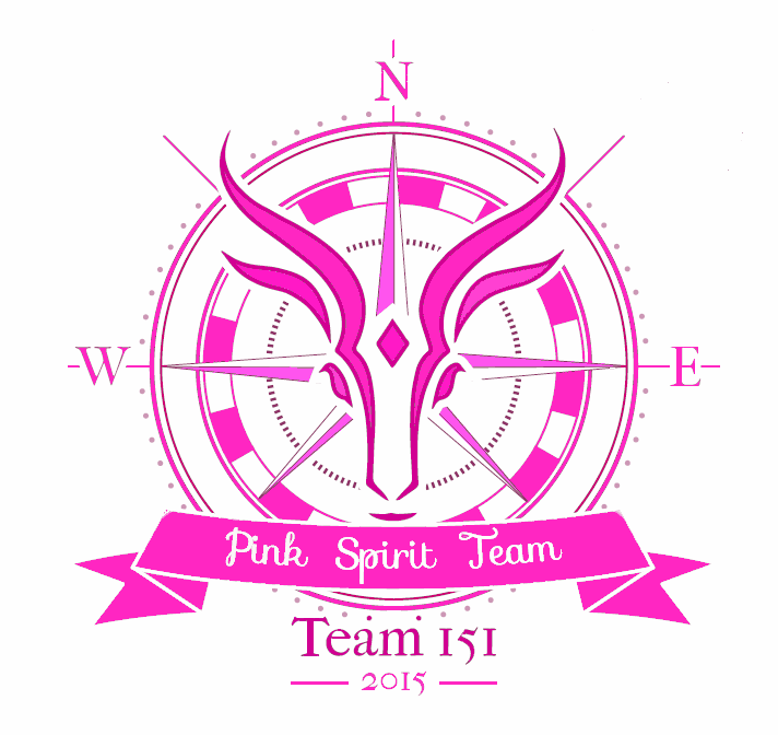 Pink Spirit Team