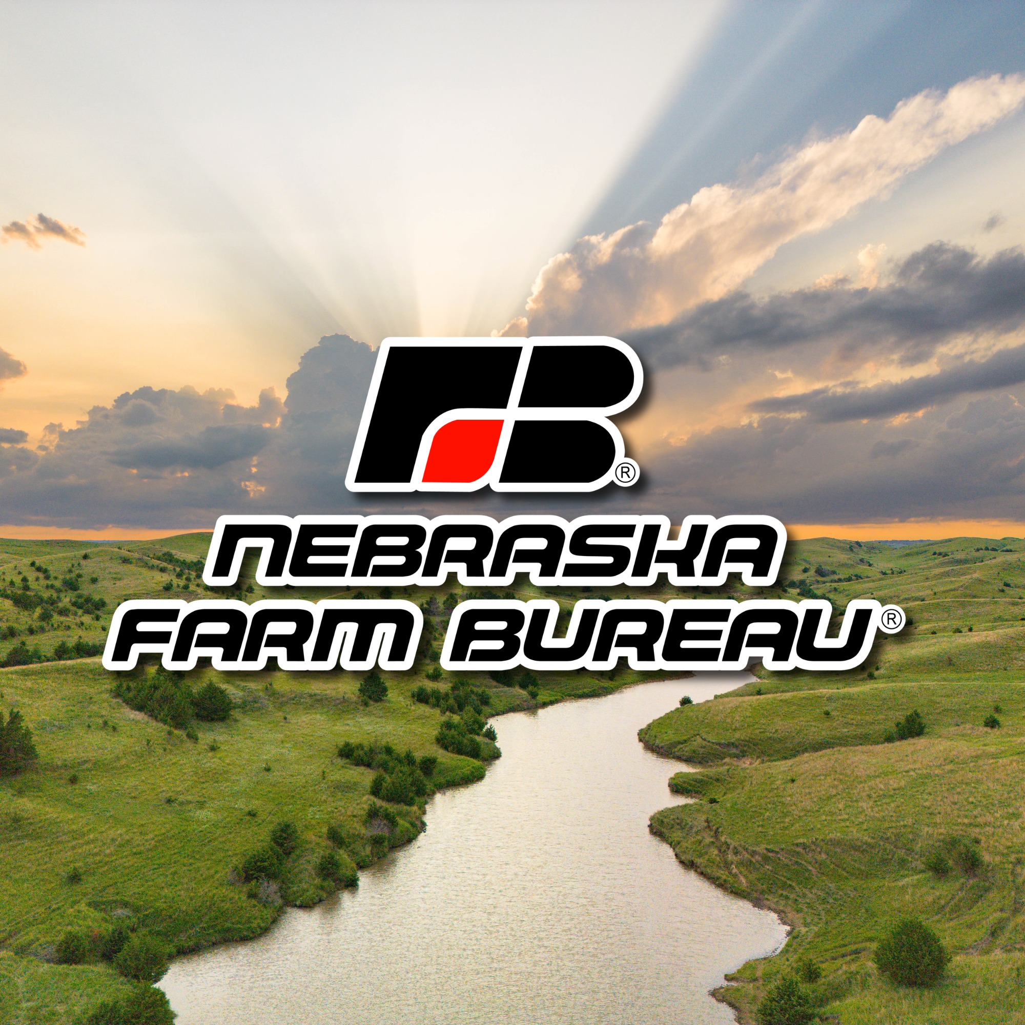 NEFB-PAC is proud to endorse Lou... - Nebraska Farm Bureau | Facebook