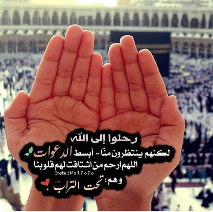 أمى