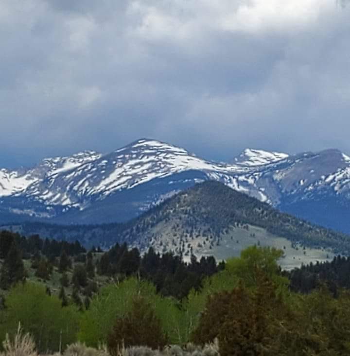 Beaverhead Outdoors Association