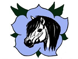 BC Welsh Pony & Cob Association