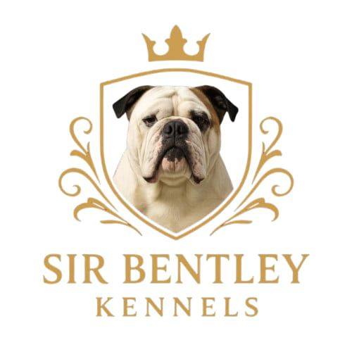 Ersoy's Sir Bentley Kennels