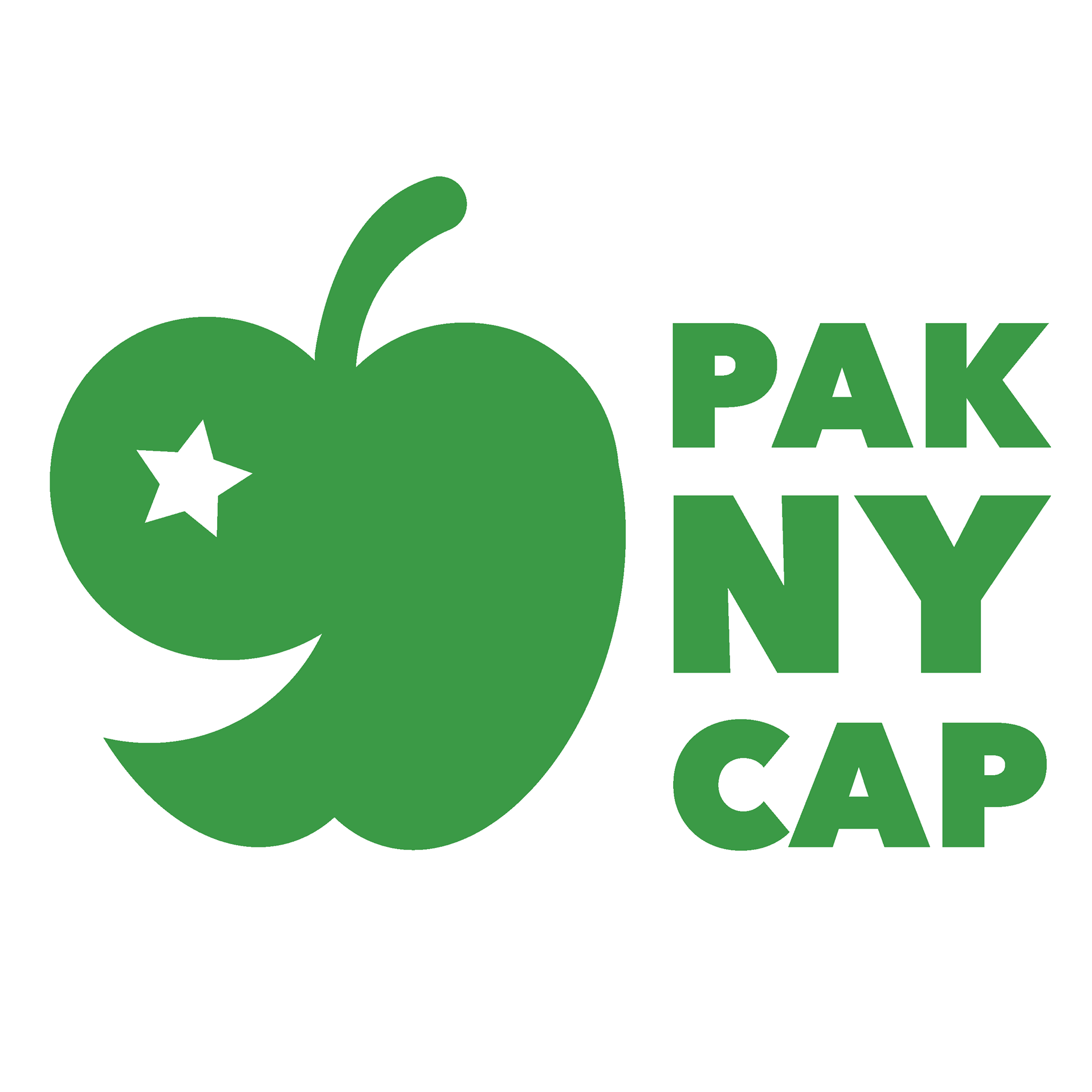 Muslim Community of the Capital Region Albany NY | 🇵🇰 A new chapter of ...
