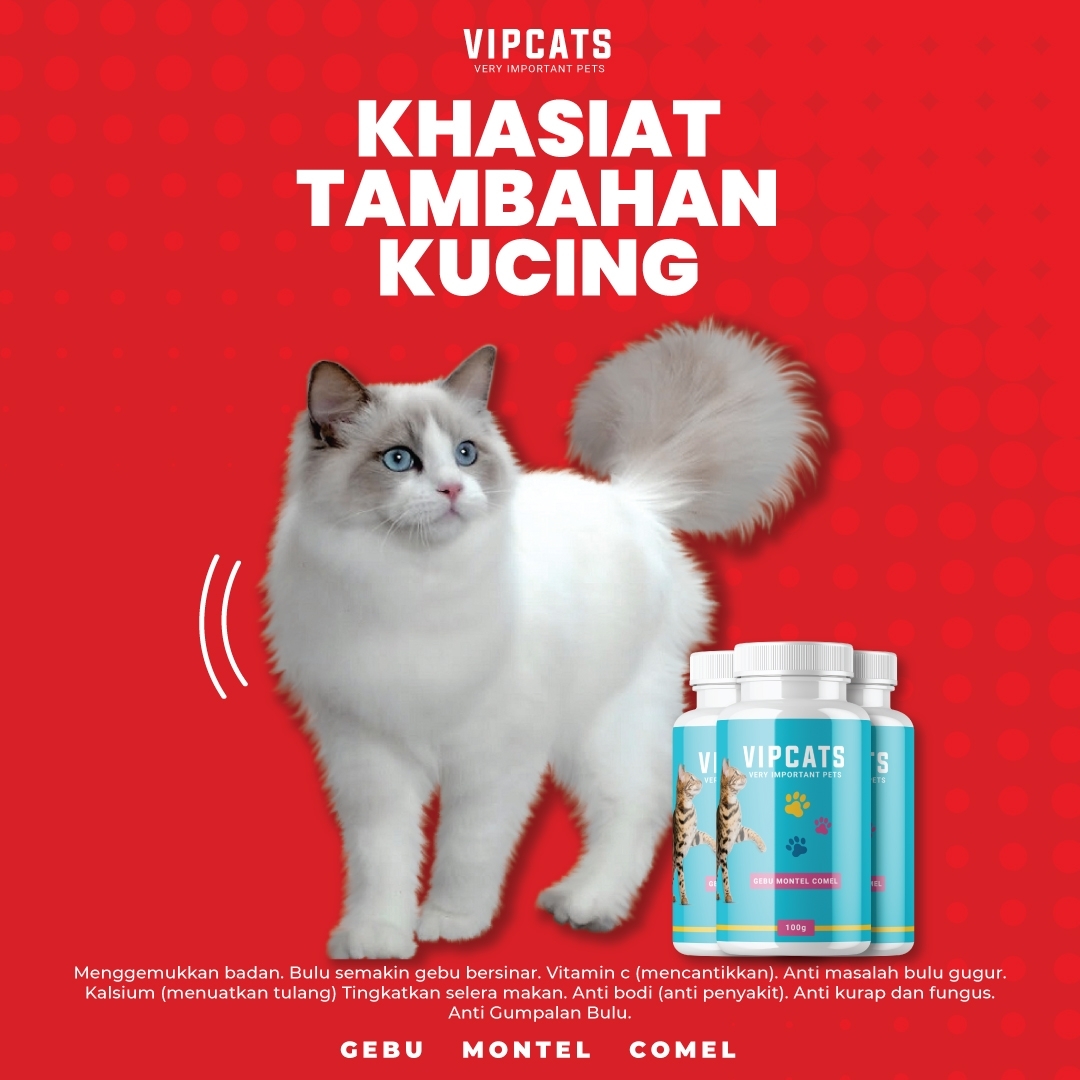 VIP CATS - Pencinta Kucing