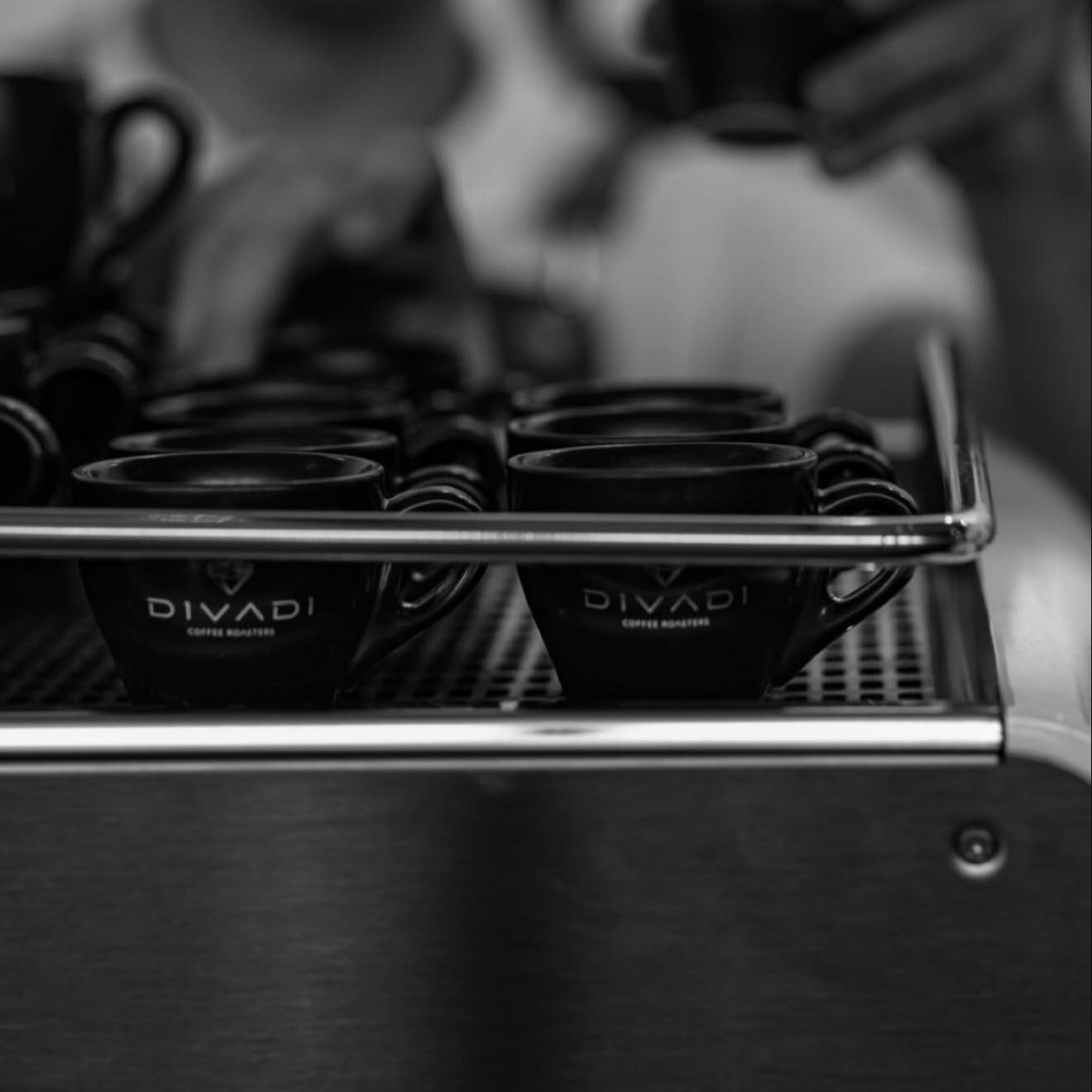 Divadi Coffee Roasters | Metamórfosi