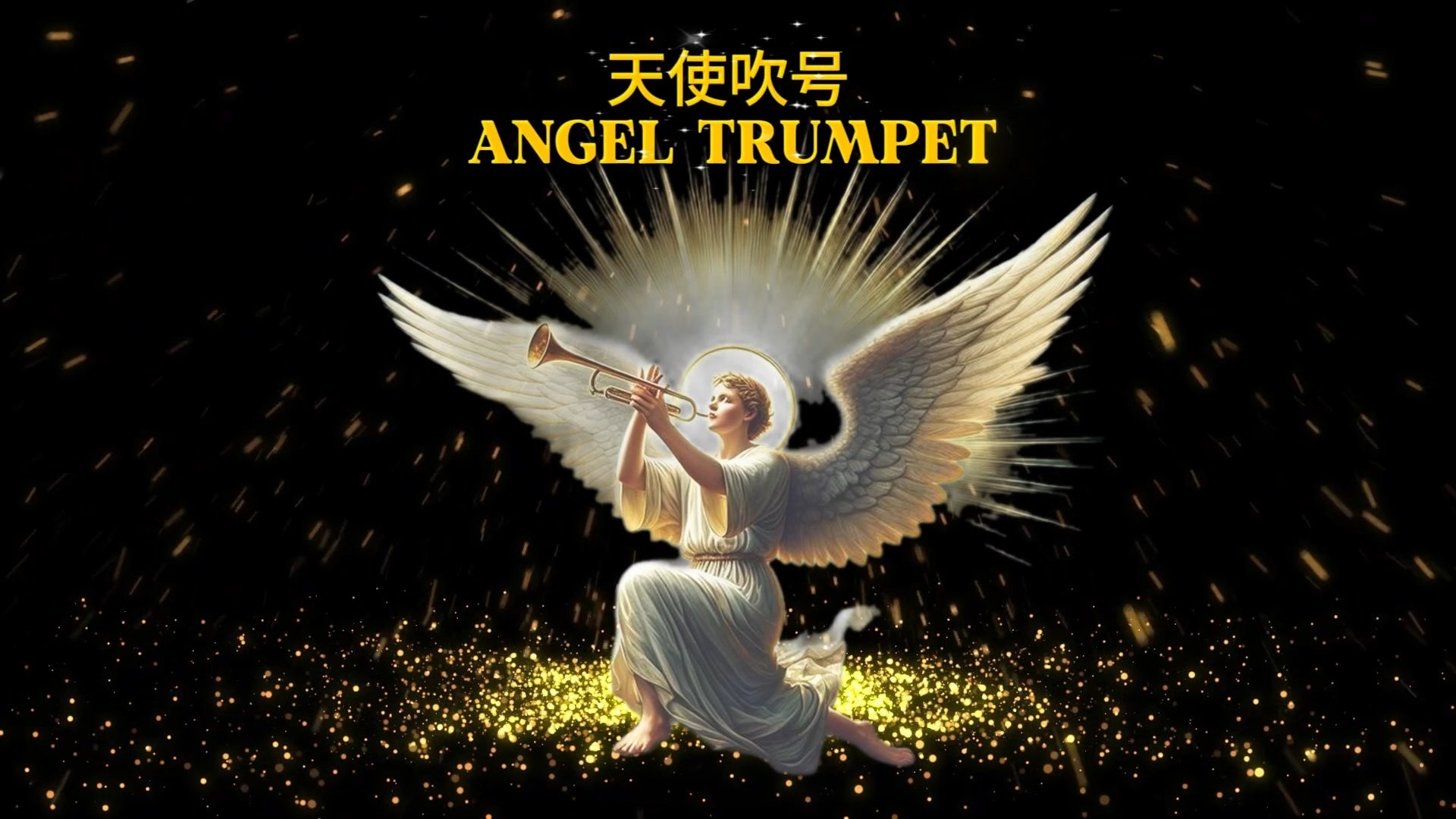 天使吹号Angel Trumpet