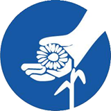 IRIS Projekt | Rijeka