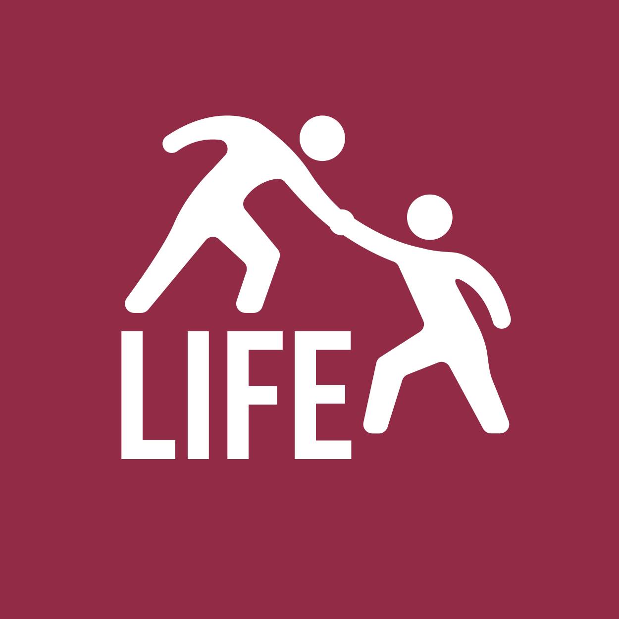 Life Support Services LLC | Brainerd MN