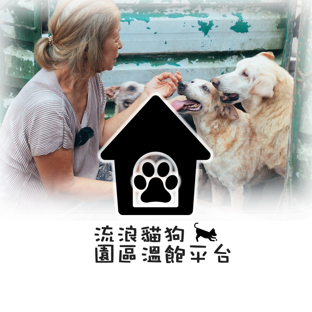 流浪貓狗園區溫飽平台 - 牠是園區的元老_老黃🐶 10年前從收容所被愛媽救援回來的小BABY 當時一直沒有送養成功 老黃就在園區生活到現在 ...