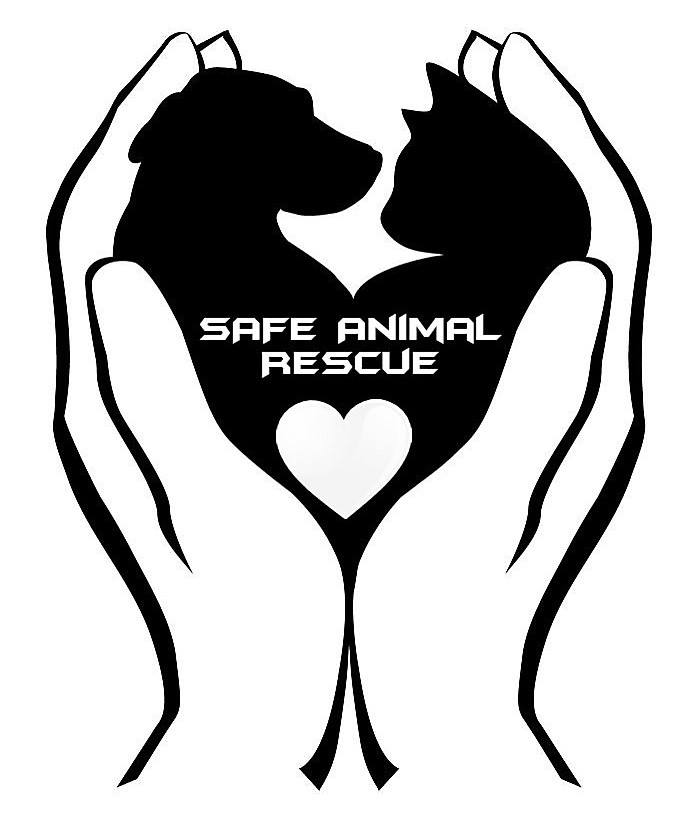 Logan, WV Adoptable Animals-SAFE Animal Rescue | Whitman WV
