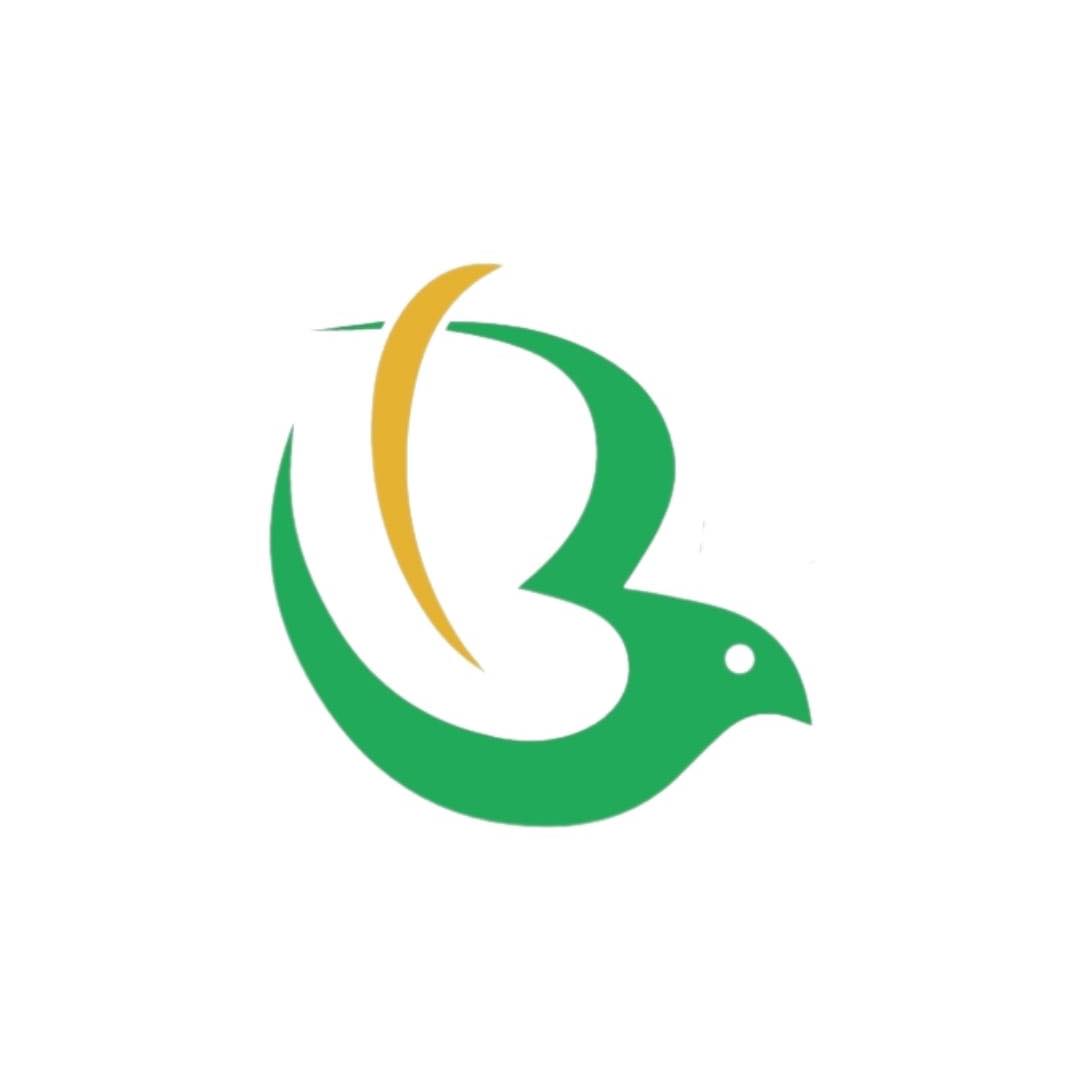 Igreja Brasileira Austin - PIBBA | Pflugerville TX
