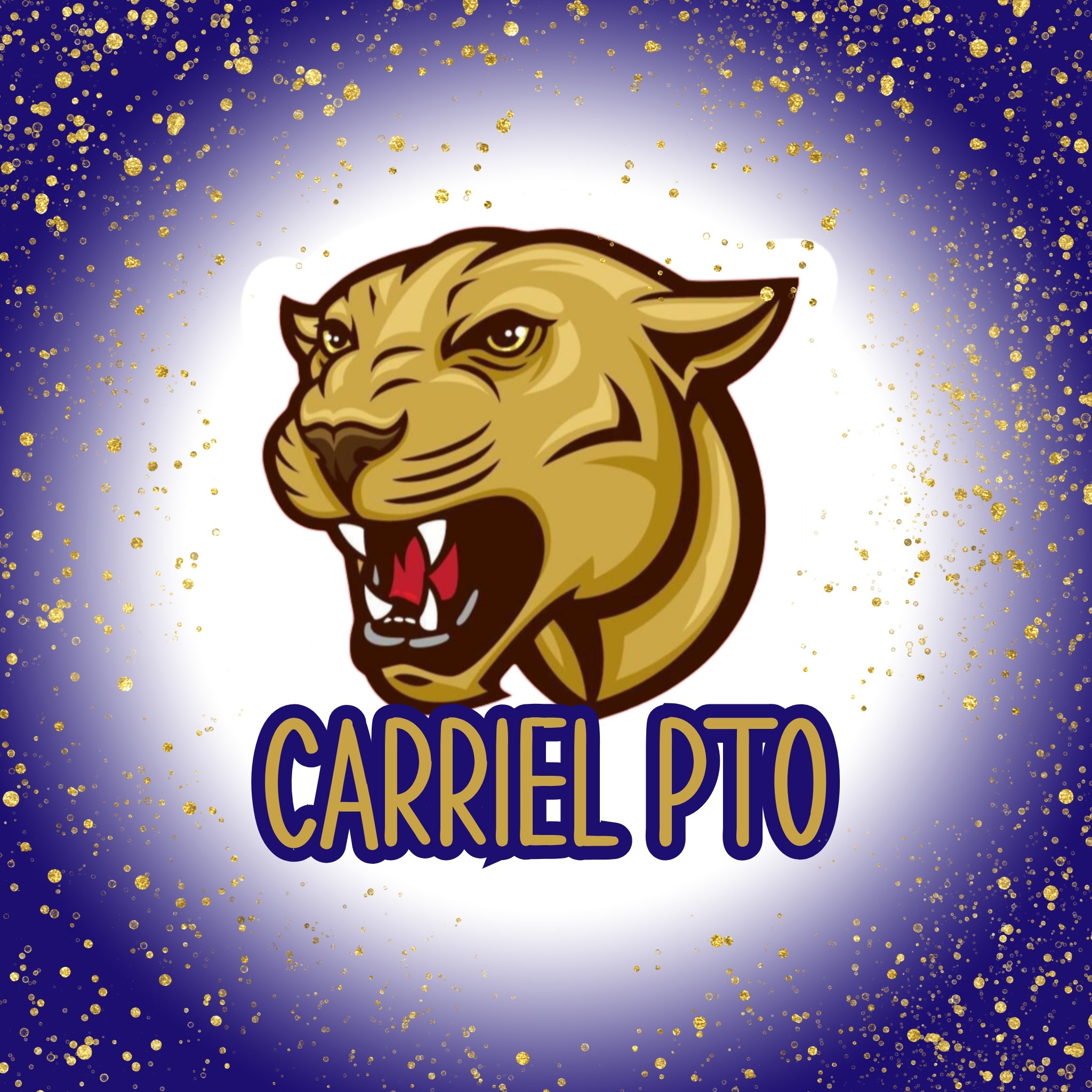 Carriel Jr High Cheerleading | O'Fallon IL