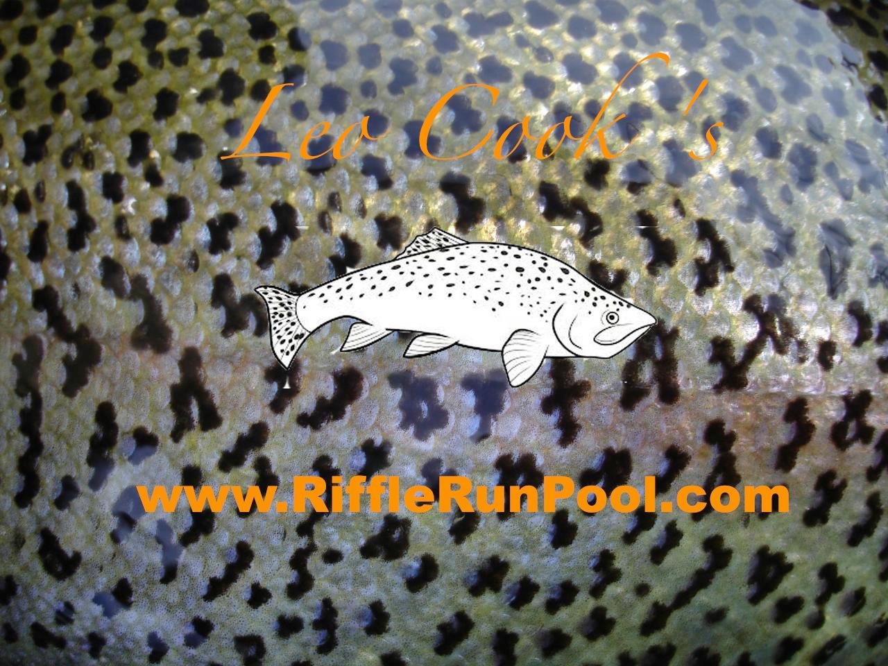 Riffle Run Pool.com