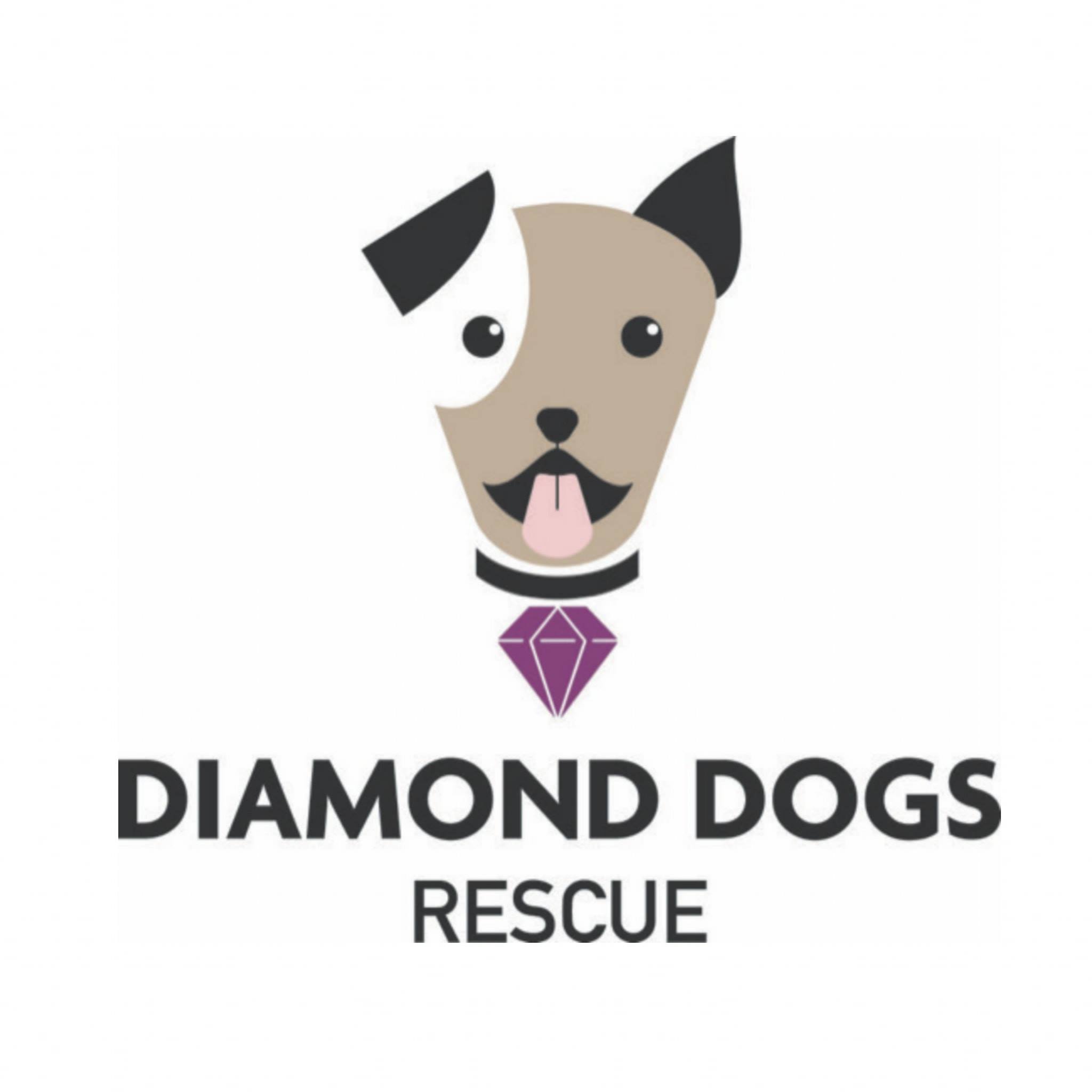 Diamond Dogs Rescue Wisconsin - Adopted! | Facebook