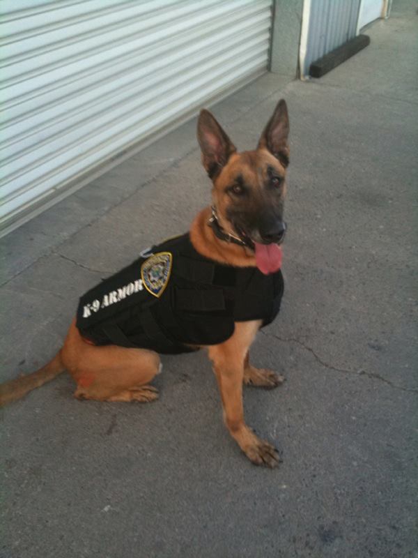 K-9 Armor - Thank you Riverside County Sheriffs' K-9 Team Deputy ...