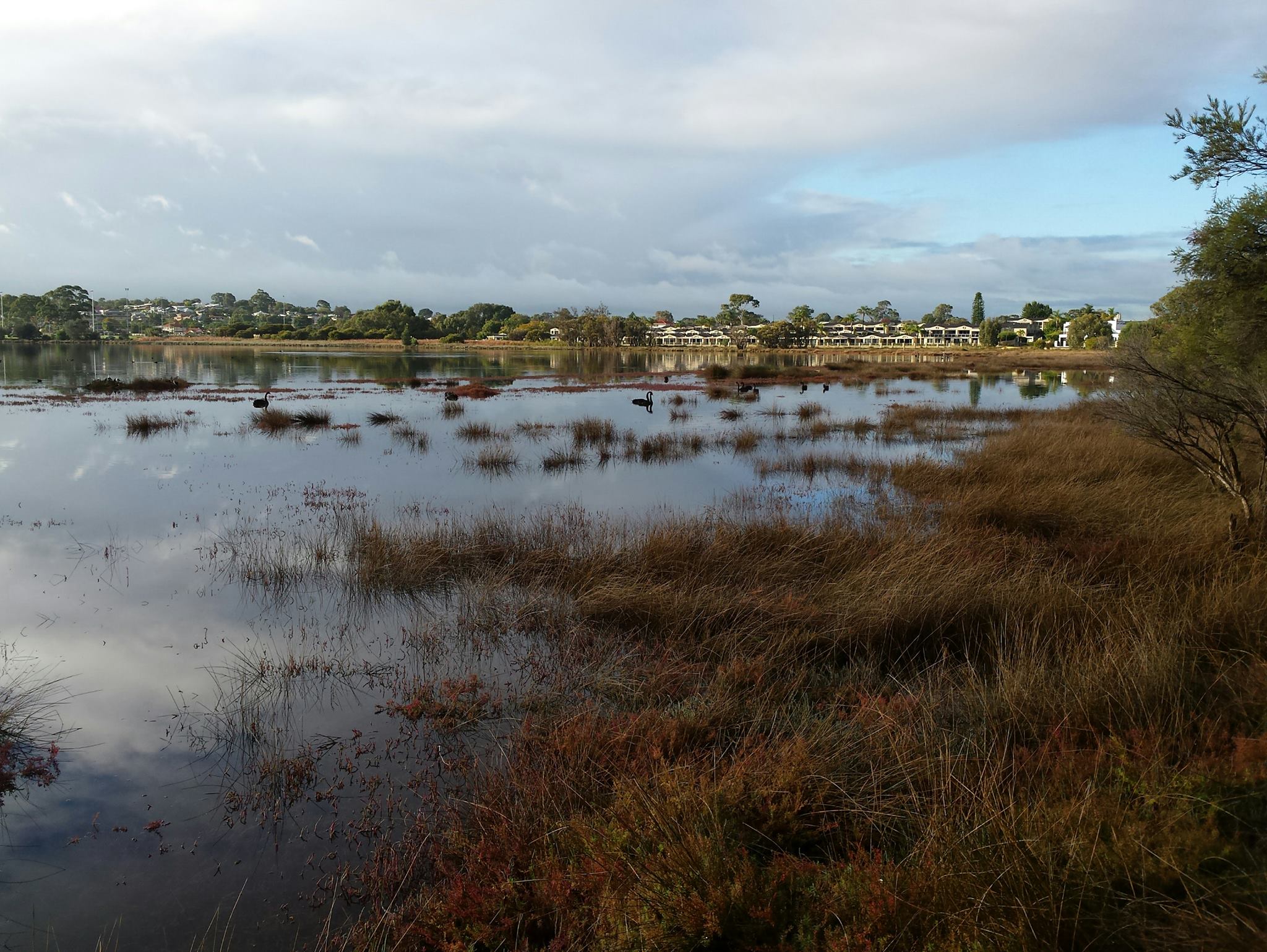 Swan Estuary Reserves Action Group | Melville WA