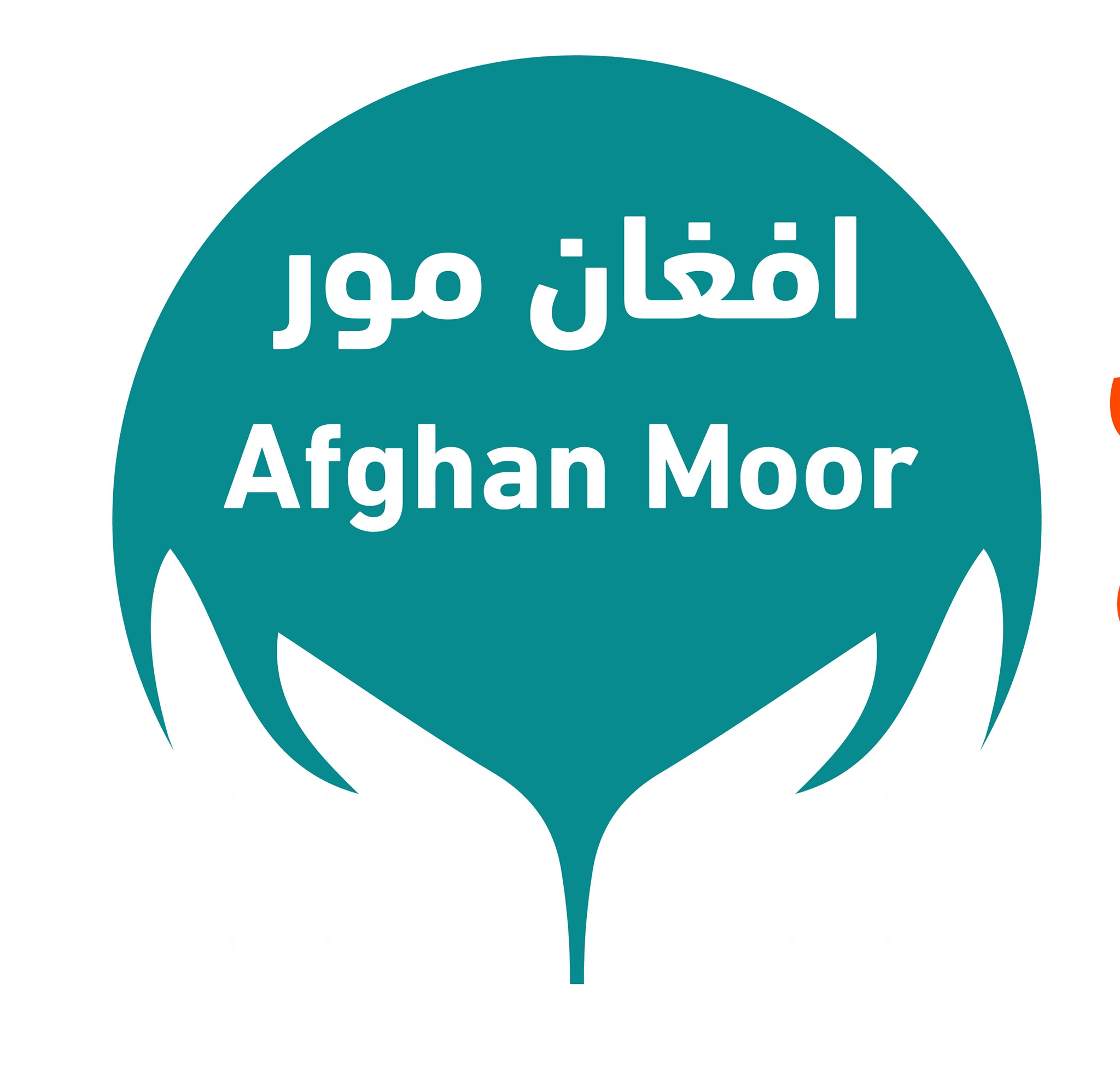 مور خیریه بنسټ Moor Charity Foundation