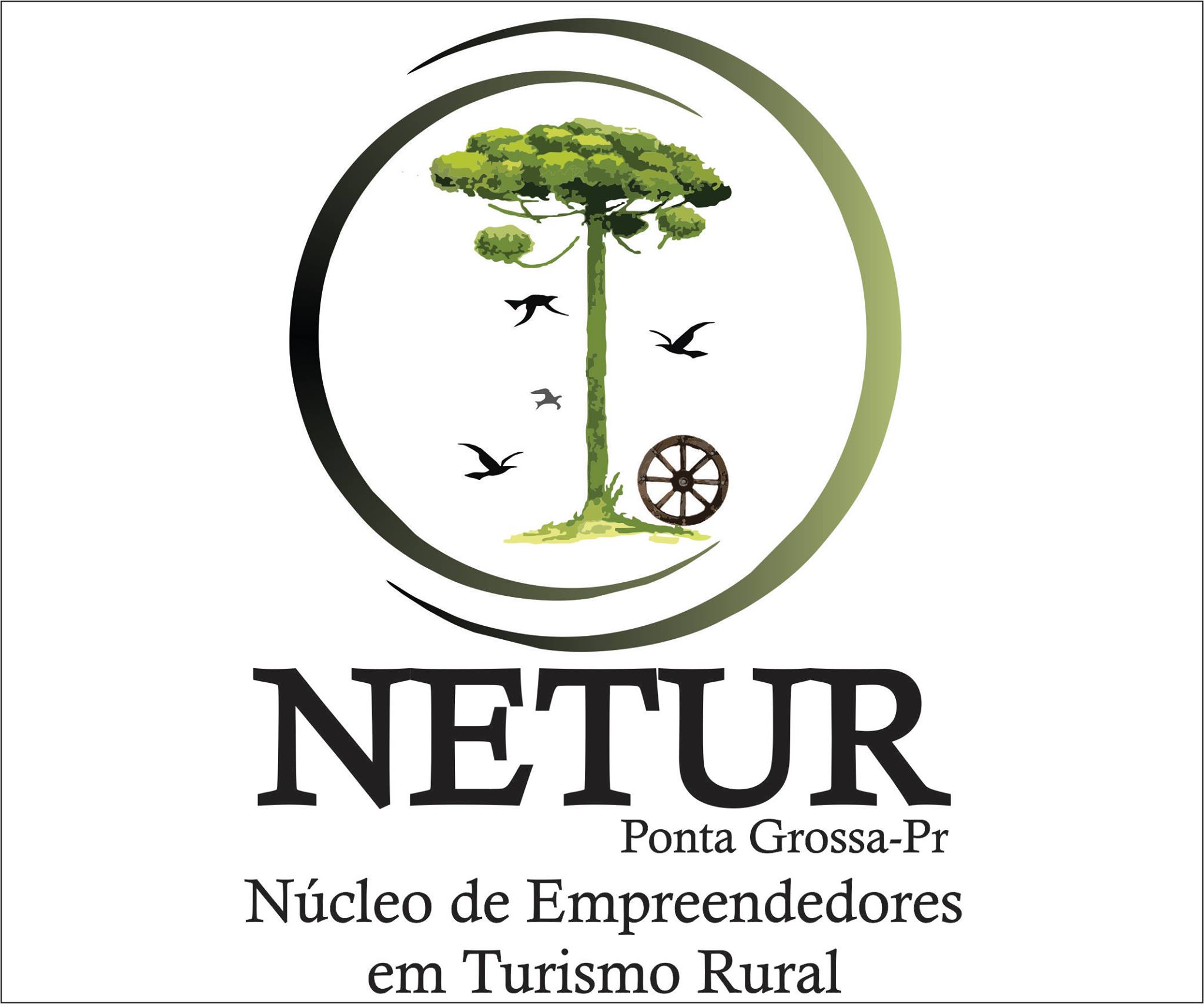 Netur-Pg | Ponta Grossa PR