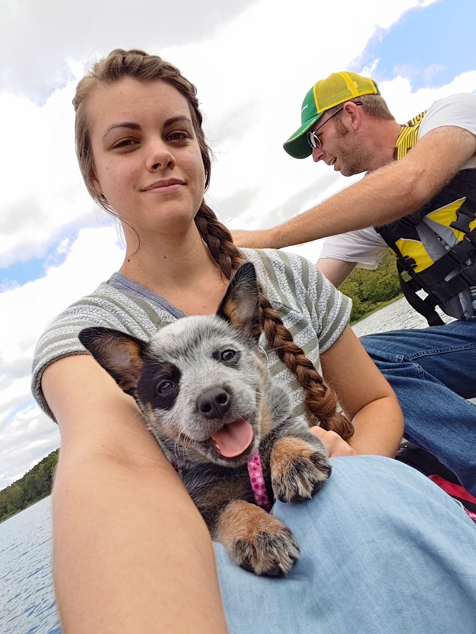 Blue/Red Heelers for adoption | First time outside today for the crew ...
