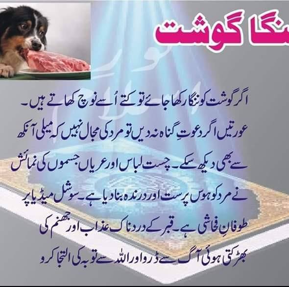 Bushra Rani ki baatain