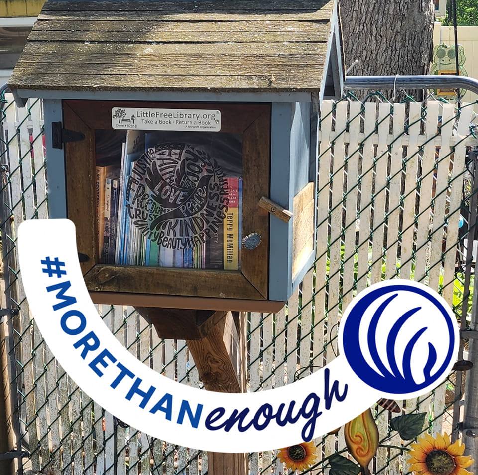 Ugly Duckling Little Free Library | Shirley NY