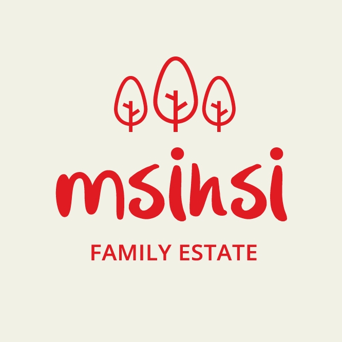 Msinsi Family Estate | Waterfall