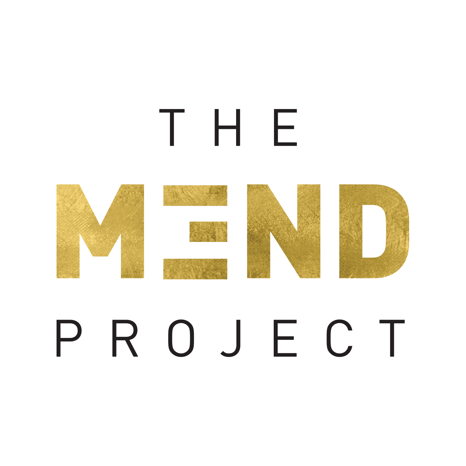 The MEND Project
