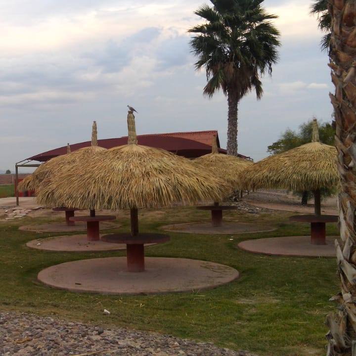 Palapas y Cabañas Saltillo
