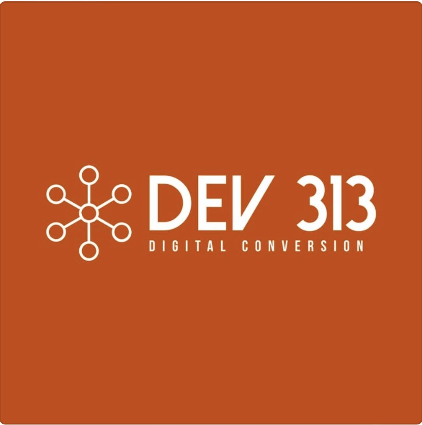 313 Dev Servicios Tecnológicos