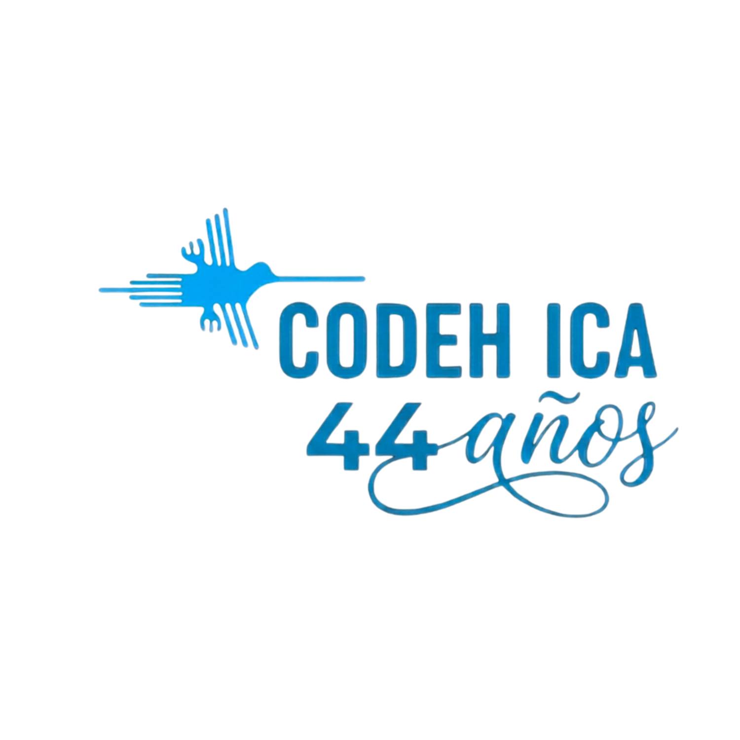 Comités Vecinales de Mariscal Cáceres SJL | Lima