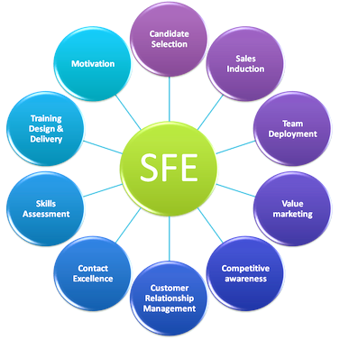 SFE Academy
