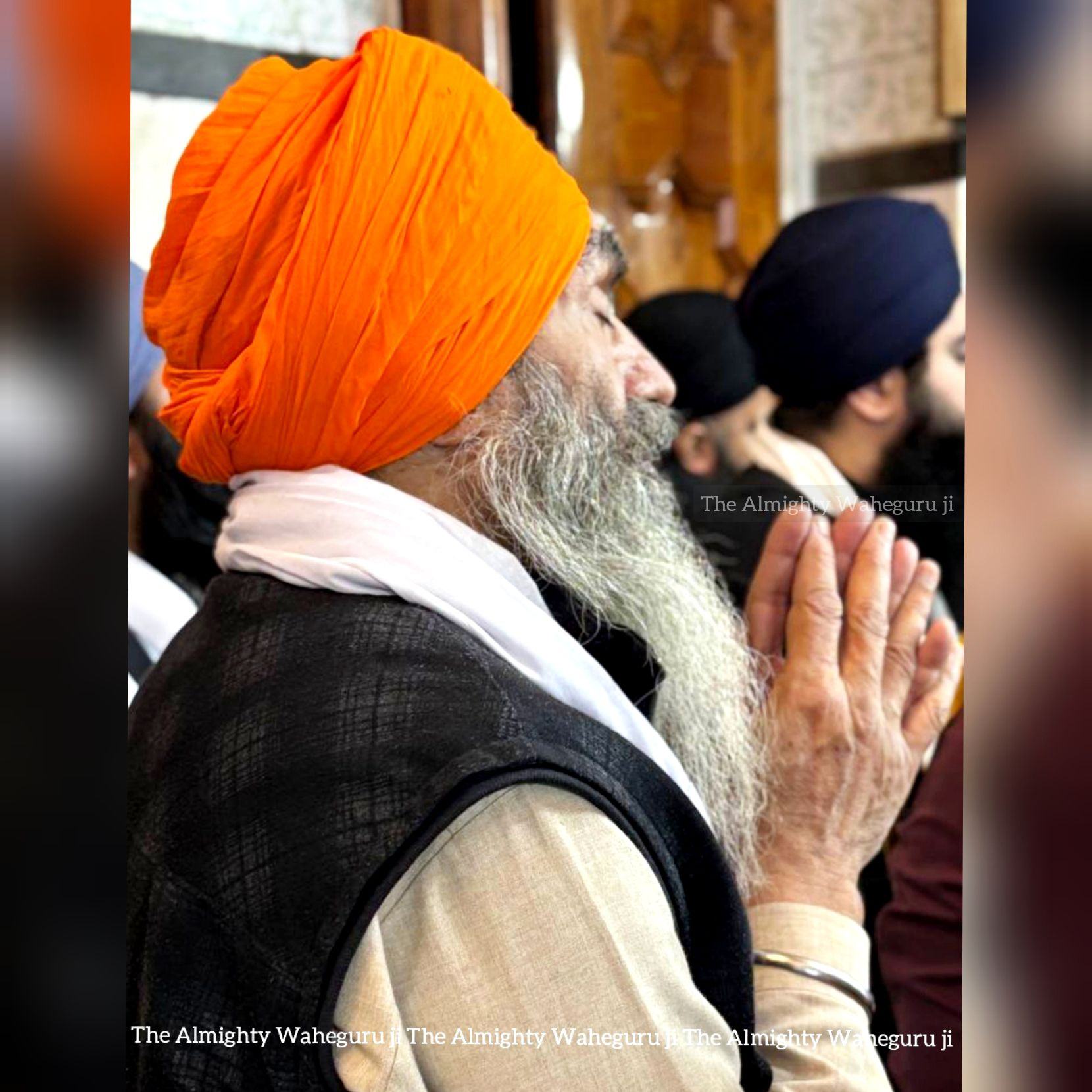 The Almighty Waheguru Ji - Aap sab ne Sher ta dekhya e hovega ...agr ...